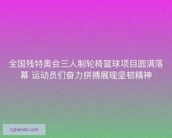 全国残特奥会三人制轮椅篮球项目圆满落幕 运动员们奋力拼搏展现坚韧精神