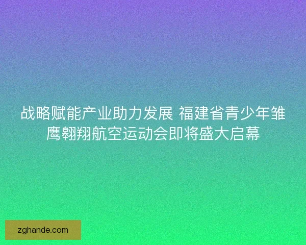 战略赋能产业助力发展 福建省青少年雏鹰翱翔航空运动会即将盛大启幕