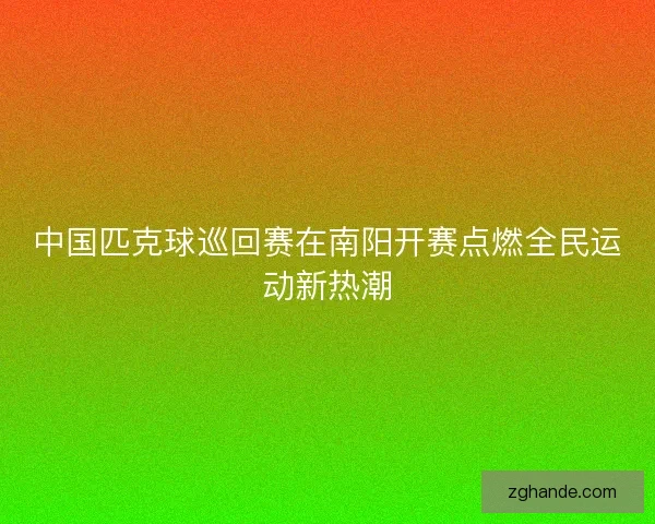 中国匹克球巡回赛在南阳开赛点燃全民运动新热潮